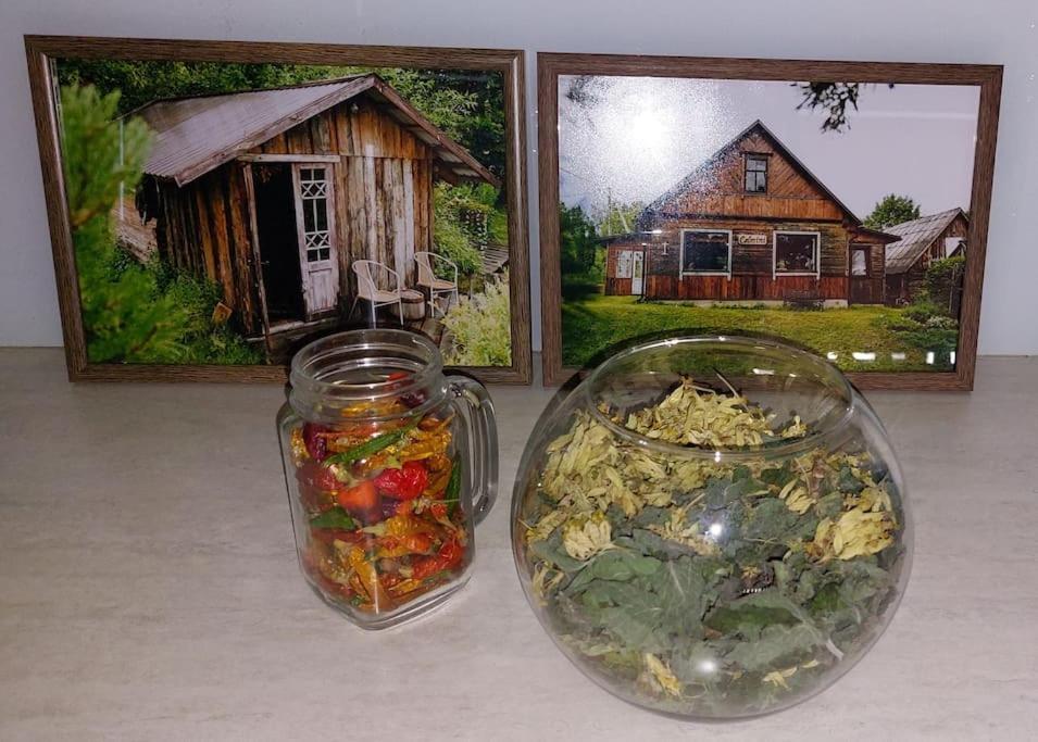 Spicy Studio In Art Nouveau District, Culture Trip 리가 외부 사진